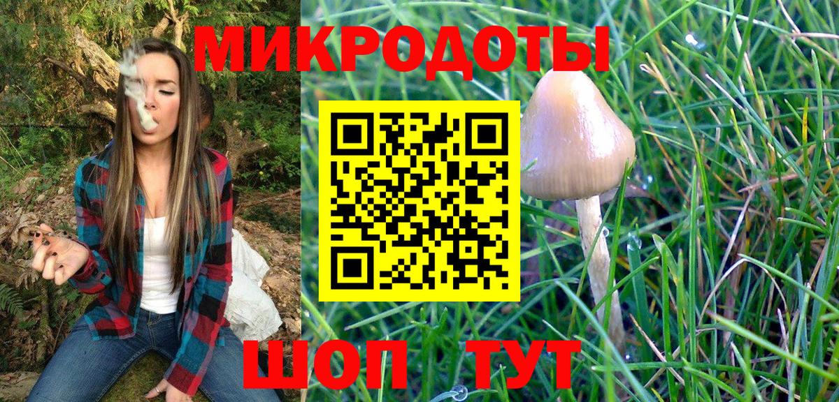 Рязань  Галлюциногенные грибы MAGIC MUSHROOMS  Вход с VPN 